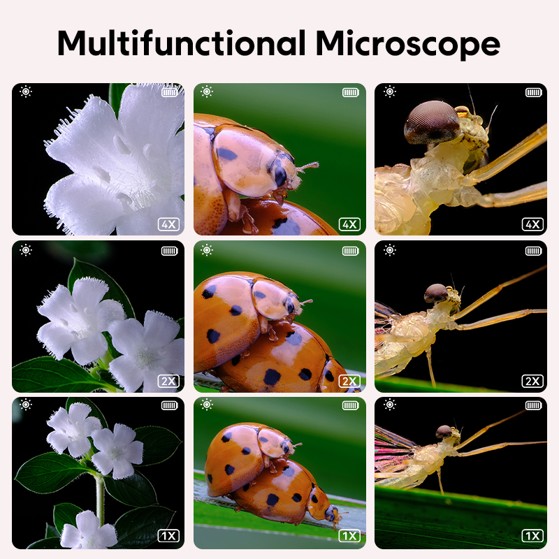 Mini Digital Microscope Portab - Education Kids Definition recension och pris